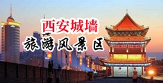 美国人大鸡巴肏逼黄片中国陕西-西安城墙旅游风景区